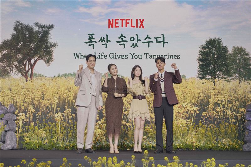  《苦尽柑来遇见你》 